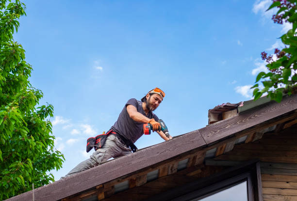 Roof Insulation Installation in Clayton, NM